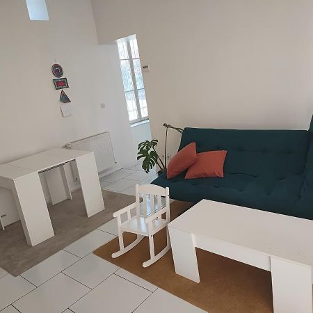 Appartement Chateau Des Montees Orléans Dış mekan fotoğraf